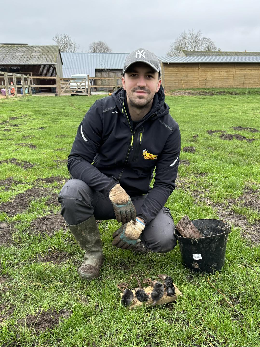 Gauthier Bureaux - Gérant Anti-Frelons 76